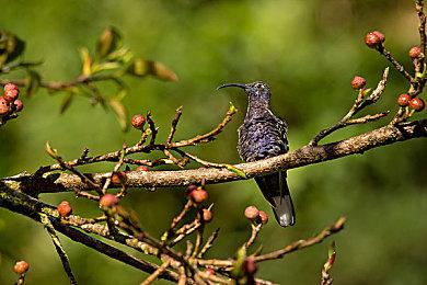 《欧洲卡车模拟2》斯堪的纳维亚DLC进入新开发阶段
